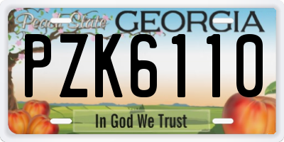 GA license plate PZK6110
