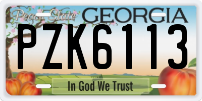 GA license plate PZK6113