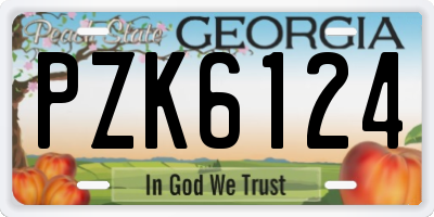 GA license plate PZK6124