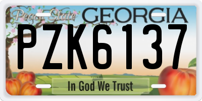 GA license plate PZK6137