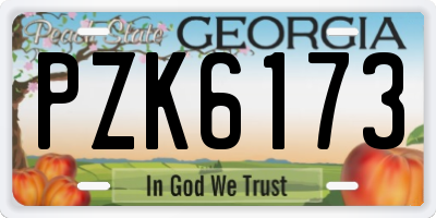 GA license plate PZK6173