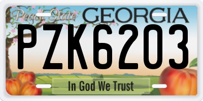 GA license plate PZK6203