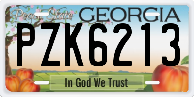 GA license plate PZK6213