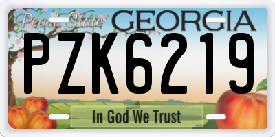 GA license plate PZK6219