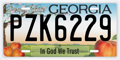GA license plate PZK6229