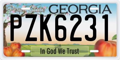 GA license plate PZK6231