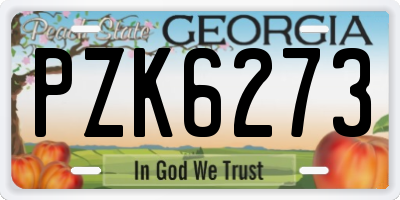 GA license plate PZK6273