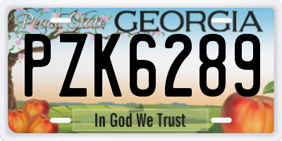 GA license plate PZK6289