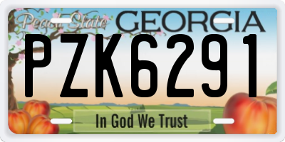 GA license plate PZK6291