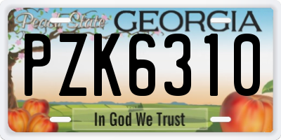 GA license plate PZK6310