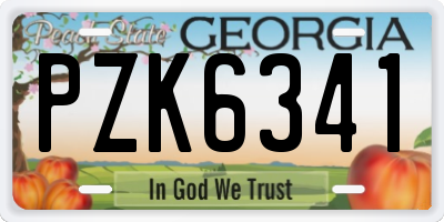 GA license plate PZK6341