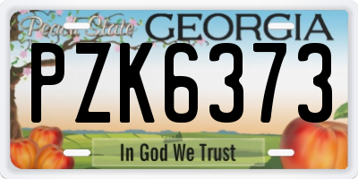 GA license plate PZK6373