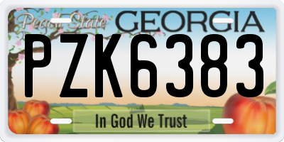 GA license plate PZK6383