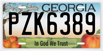 GA license plate PZK6389