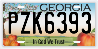 GA license plate PZK6393