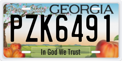 GA license plate PZK6491