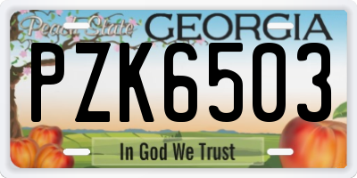 GA license plate PZK6503