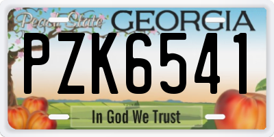 GA license plate PZK6541