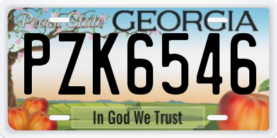 GA license plate PZK6546
