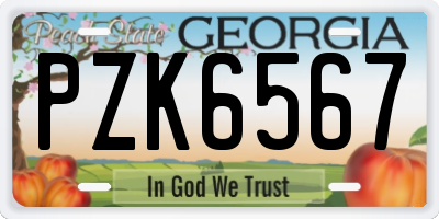 GA license plate PZK6567