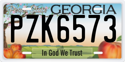 GA license plate PZK6573