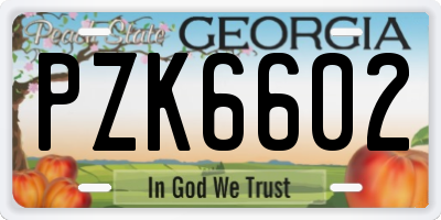 GA license plate PZK6602