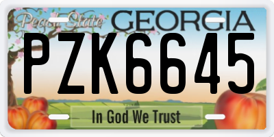 GA license plate PZK6645