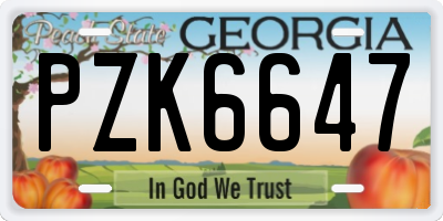 GA license plate PZK6647