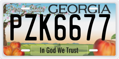 GA license plate PZK6677
