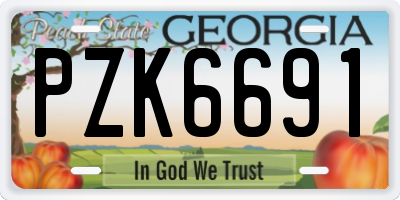 GA license plate PZK6691