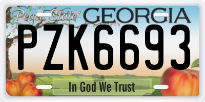 GA license plate PZK6693