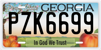 GA license plate PZK6699