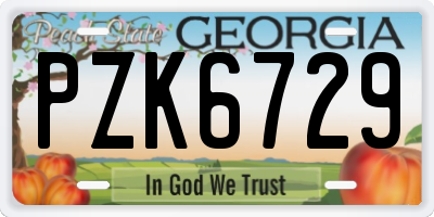 GA license plate PZK6729