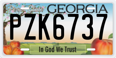 GA license plate PZK6737
