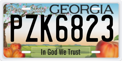 GA license plate PZK6823