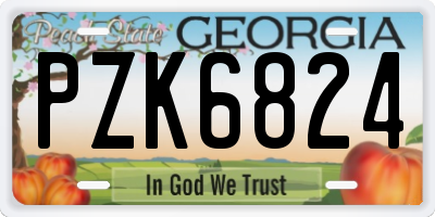 GA license plate PZK6824