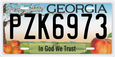 GA license plate PZK6973