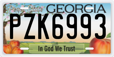 GA license plate PZK6993