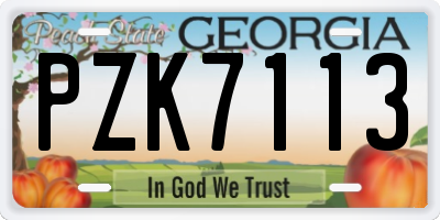 GA license plate PZK7113