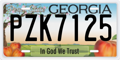 GA license plate PZK7125