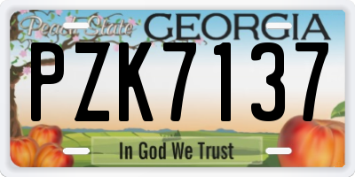GA license plate PZK7137