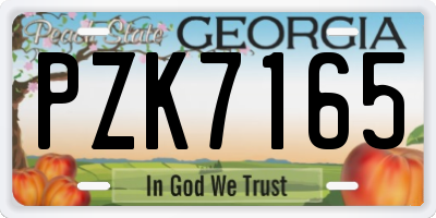 GA license plate PZK7165