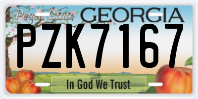 GA license plate PZK7167