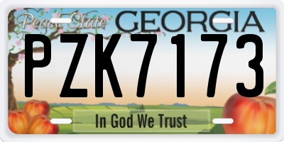 GA license plate PZK7173