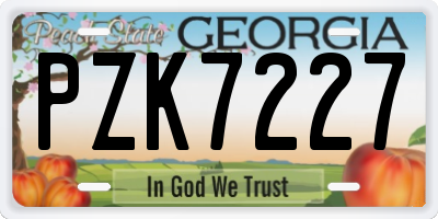 GA license plate PZK7227