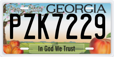 GA license plate PZK7229