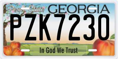 GA license plate PZK7230