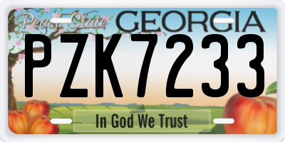 GA license plate PZK7233