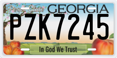 GA license plate PZK7245