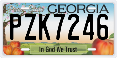 GA license plate PZK7246